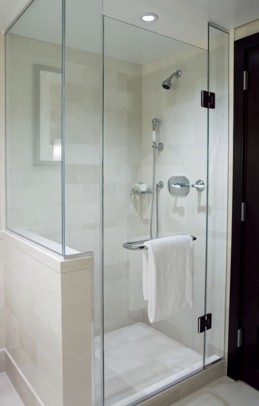 Stylish Frameless Shower
